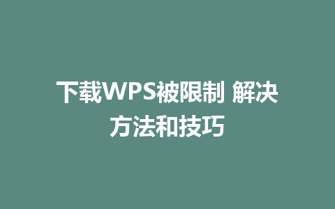 下载WPS被限制 解决方法和技巧