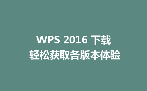 WPS 2016 下载 轻松获取各版本体验