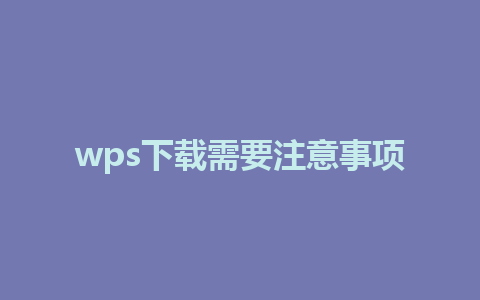 wps下载需要注意事项