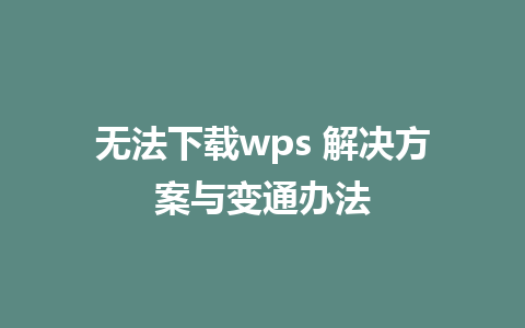 无法下载wps 解决方案与变通办法