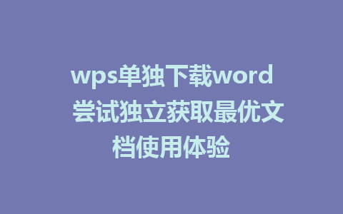 wps单独下载word  尝试独立获取最优文档使用体验