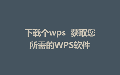 下载个wps  获取您所需的WPS软件