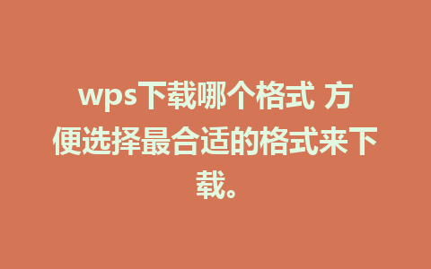 wps下载哪个格式 方便选择最合适的格式来下载。