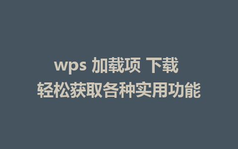 wps 加载项 下载 轻松获取各种实用功能