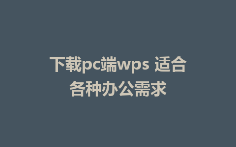 下载pc端wps 适合各种办公需求