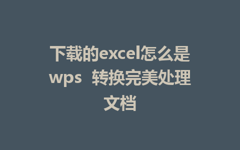 下载的excel怎么是wps  转换完美处理文档