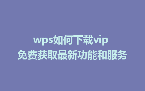 wps如何下载vip 免费获取最新功能和服务