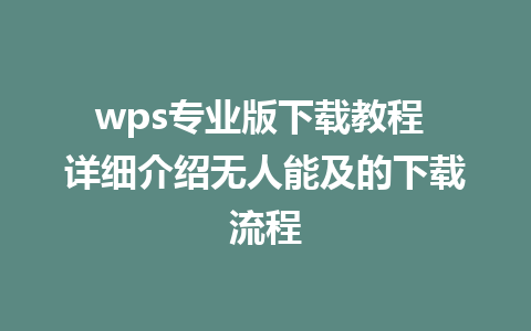 wps专业版下载教程 详细介绍无人能及的下载流程