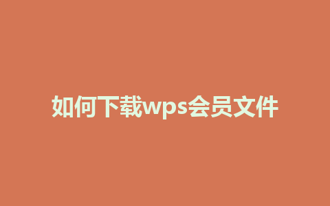 如何下载wps会员文件 