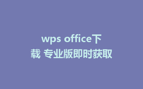 wps office下载 专业版即时获取