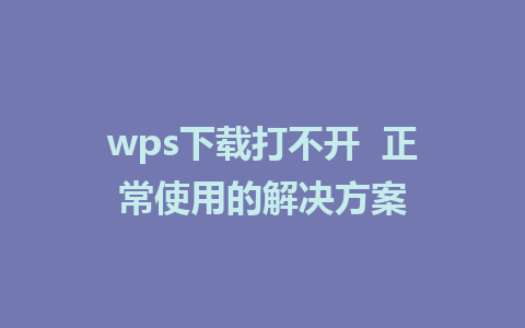 wps下载打不开  正常使用的解决方案