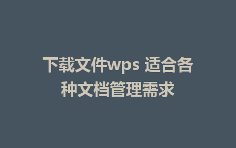 下载文件wps 适合各种文档管理需求