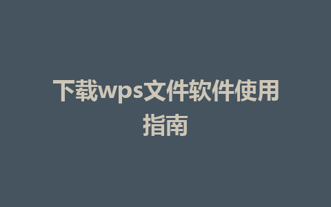 下载wps文件软件使用指南