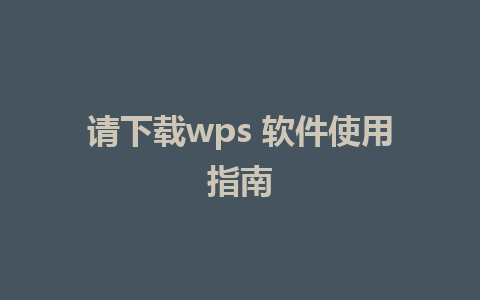 请下载wps 软件使用指南