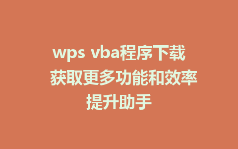 wps vba程序下载  获取更多功能和效率提升助手