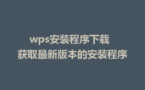 wps安装程序下载  获取最新版本的安装程序 