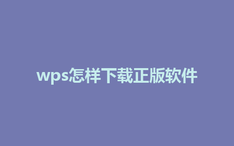 wps怎样下载正版软件