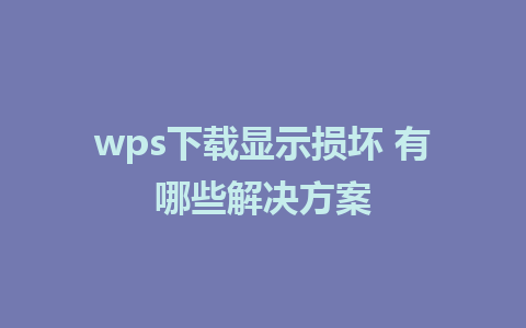 wps下载显示损坏 有哪些解决方案