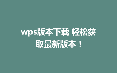 wps版本下载 轻松获取最新版本！