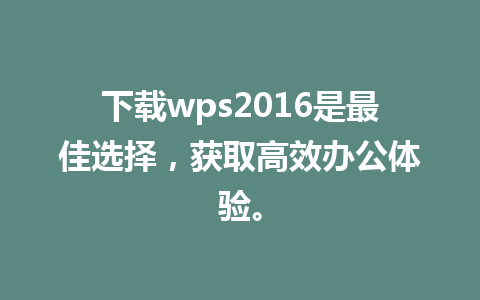 下载wps2016是最佳选择，获取高效办公体验。