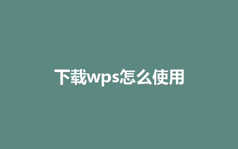 下载wps怎么使用 