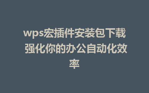 wps宏插件安装包下载 强化你的办公自动化效率