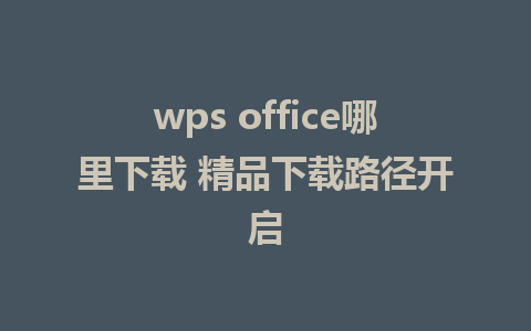 wps office哪里下载 精品下载路径开启 