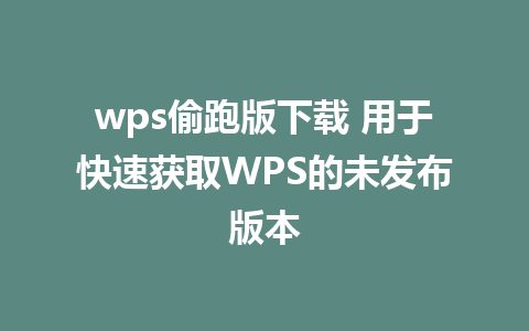 wps偷跑版下载 用于快速获取WPS的未发布版本