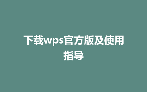 下载wps官方版及使用指导