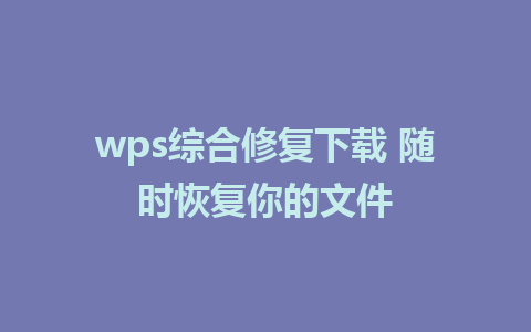 wps综合修复下载 随时恢复你的文件