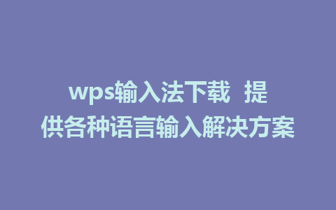 wps输入法下载  提供各种语言输入解决方案