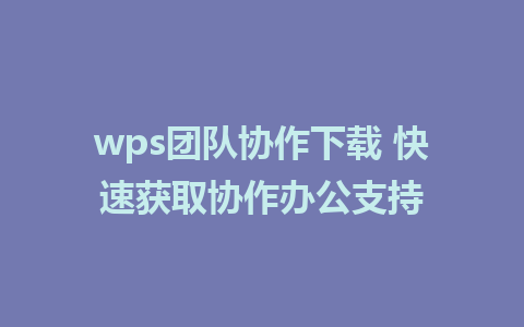 wps团队协作下载 快速获取协作办公支持